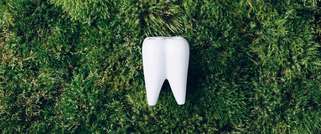 Tooth model surrounded by green grass and plants, representing holistic dentistry